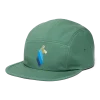 Llama Stripes 5-Panel Hat
