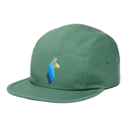 Llama Stripes 5-Panel Hat